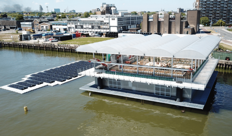 floating farm Rotterdam